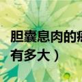 胆囊息肉的癌变率高吗（胆囊息肉癌变的几率有多大）