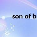 son of bitch怎么读（bitch怎么读）
