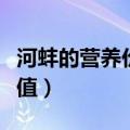 河蚌的营养价值及功效与禁忌（河蚌的营养价值）