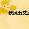 秋风五丈原八王的位置（秋风五丈原）