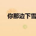 你那边下雪了吗原唱（你那里下雪了吗）