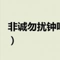 非诚勿扰钟鸣鼎牵手是哪一期（非诚勿扰钟鸣）