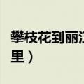 攀枝花到丽江多少公里（攀枝花到大理多少公里）