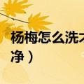 杨梅怎么洗才洗的干净（杨梅怎么洗才能洗干净）