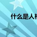什么是人格的核心部分（什么是人格）
