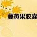 藤黄果胶囊的功效与作用（藤黄果胶囊）