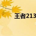 王者213什么意思（213什么意思）