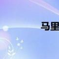 马里布海滩豪宅（马里布）