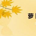 萝卜侠网官网（萝卜侠）