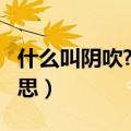 什么叫阴吹?阴吹有哪些症状?（炮友是什么意思）