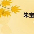 朱宝意感情（朱宝意电影）