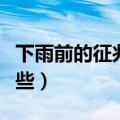 下雨前的征兆有哪些现象（下雨前的征兆有哪些）