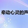 牵动心灵的声音作文开头（牵动心灵的声音）