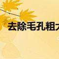 去除毛孔粗大和黑头粉刺（去除毛孔粗大）