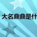 大名鼎鼎是什么意思（初出茅庐是什么意思）