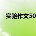 实验作文500字六年级（实验作文500字）