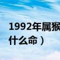 1992年属猴是什么命缺什么（1992年属猴是什么命）
