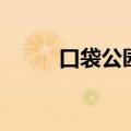 口袋公园是什么意思（口袋公园）