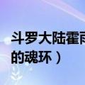 斗罗大陆霍雨浩的魂环年限（斗罗大陆霍雨浩的魂环）