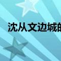 沈从文边城的深层意蕴（沈从文边城赏析）