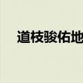 道枝骏佑地位（道枝骏佑在日本红不红）