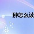 翀怎么读音正确读法（翀怎么读音）