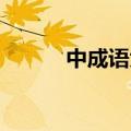 中成语大全 四字成语（中成语）