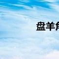盘羊角盘好的图片（盘羊角）