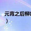 元宵之后柳吐芽(打一成语)（元宵之后柳吐芽）