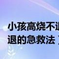 小孩高烧不退用什么办法退烧快（小孩高烧不退的急救法）