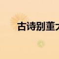古诗别董大的诗意解释（古诗别董大）