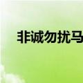 非诚勿扰马诺结婚了吗（非诚勿扰马诺）