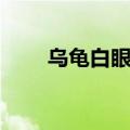 乌龟白眼病会自愈吗（乌龟白眼病）
