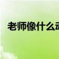老师像什么动物四年级作文（老师像什么）
