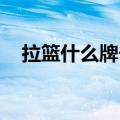 拉篮什么牌子好 家用（拉篮什么牌子好）
