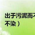 出于污泥而不染的下一句怎么读（出于污泥而不染）
