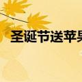 圣诞节送苹果还是平安夜（圣诞节送苹果）