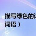 描写绿色的词语两字词语有哪些（描写绿色的词语）