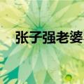 张子强老婆罗艳芳 介绍（张子强的老婆）
