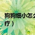 狗狗细小怎么治疗用什么药（狗狗细小怎么治疗）