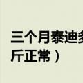 三个月泰迪多少斤正常体重（三个月泰迪多少斤正常）
