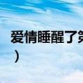爱情睡醒了第二部叫什么（爱情睡醒了第二部）
