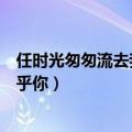 任时光匆匆流去我只在乎你说唱版（任时光匆匆流去我只在乎你）
