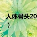 人体骨头208块还是206块（人体肌肉多少块）