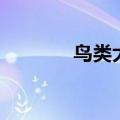 鸟类大全简笔画（鸟类大全）