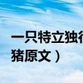 一只特立独行的猪原文朗读（一只特立独行的猪原文）