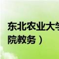 东北农业大学教务主页（东北农业大学成栋学院教务）