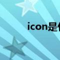 icon是什么意思（ic是什么意思）