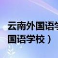 云南外国语学校为什么会被停止办学（云南外国语学校）