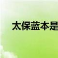 太保蓝本是什么意思（蓝本是什么意思）